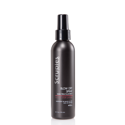 BLOW DRY SPRAY Save Time & Protect